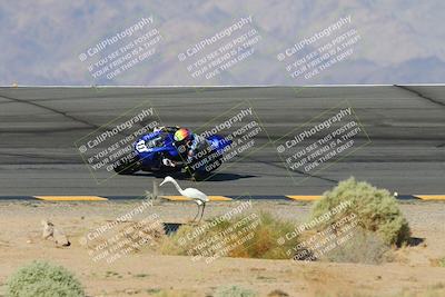 media/Oct-06-2024-Race Pace (Sun) [[d7d39ec7ad]]/9-Bowl Exit (940am)/